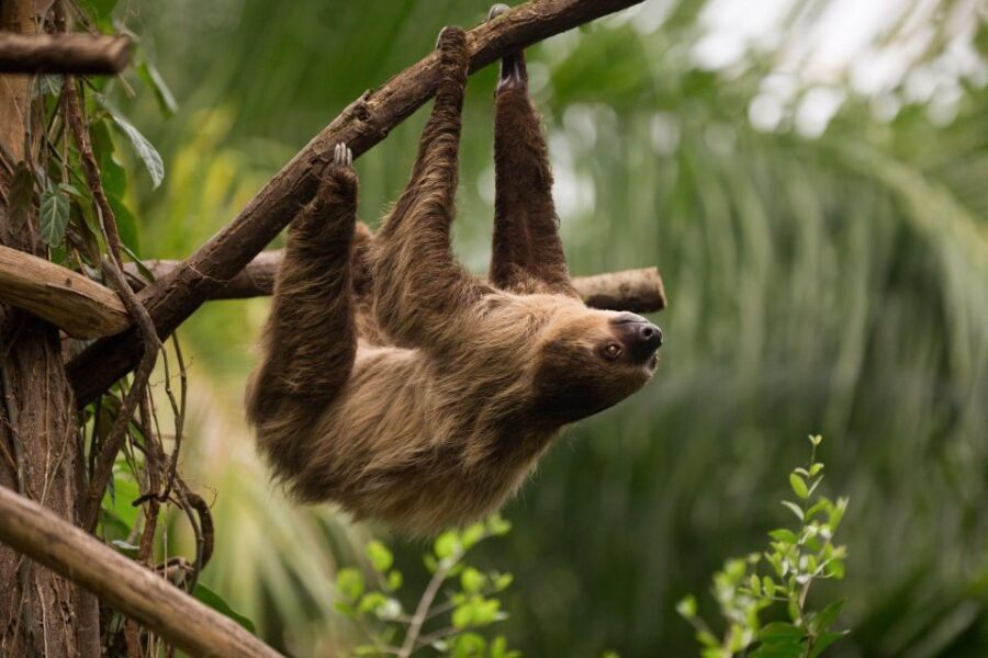 Central Park Zoo Skip-the-line Tickets & Private Transfers - Who Is This Tour Best For?