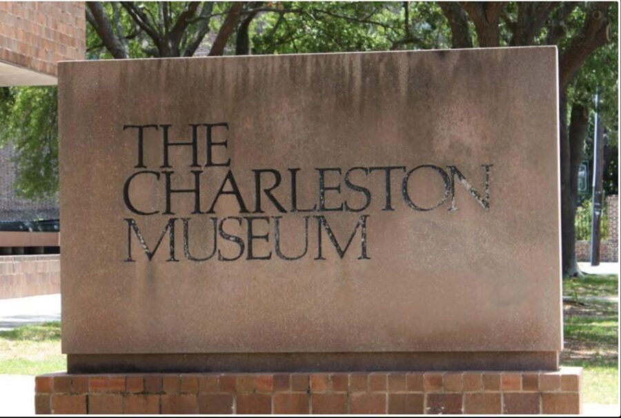Charleston: City Tour with Charleston Museum Entry Combo - Authentic Insights from Reviews