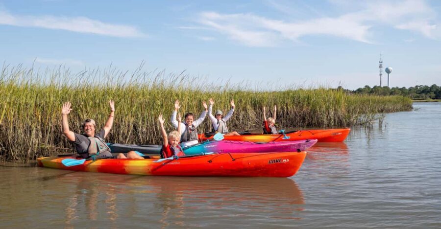 Charleston: Folly Beach Afternoon Kayak Dolphin Safari - Who Will Love This Tour?
