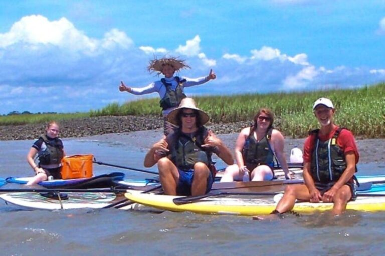 Charleston: Folly Beach Stand Up Paddleboard Dolphin Safari - The Sum Up