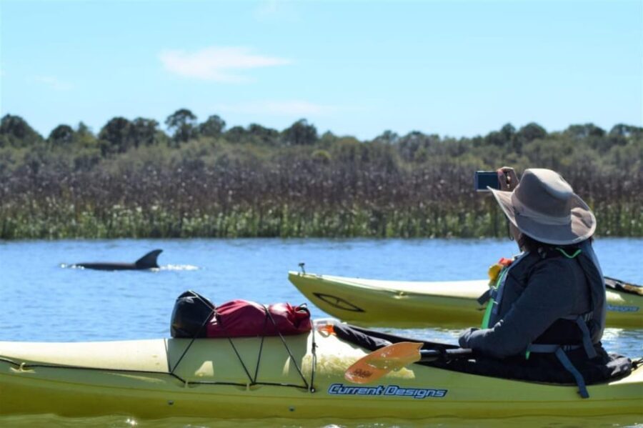 Charleston: Guided 2hr. Kayak Tour with a Tandem or Single - An Authentic Kayaking Experience in Charleston