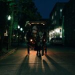 Charleston: Haunted Carriage Evening Tour - Why This Tour Is a Great Fit