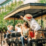 Charleston: Historical Downtown Tour by Horse-drawn Carriage - What Reviewers Say