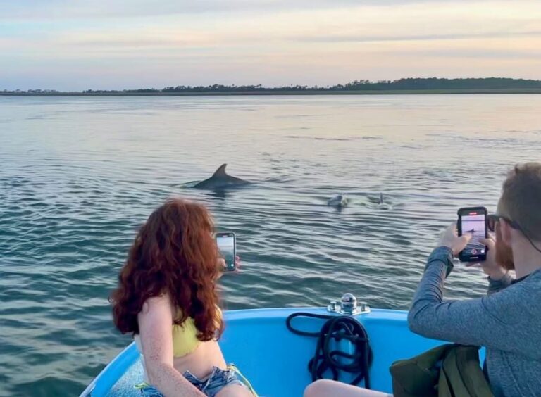 Charleston: Morris Island Dolphin Cruise with Beachcombing - The Sum Up