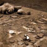Charleston: Myths & Monsters Paranormal History Walking Tour - The Practical Side: What to Expect
