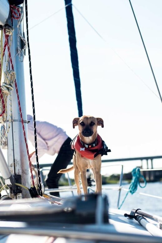 Charleston: Private BYOB Luxury Yacht Cruise - The Value and Pricing Breakdown