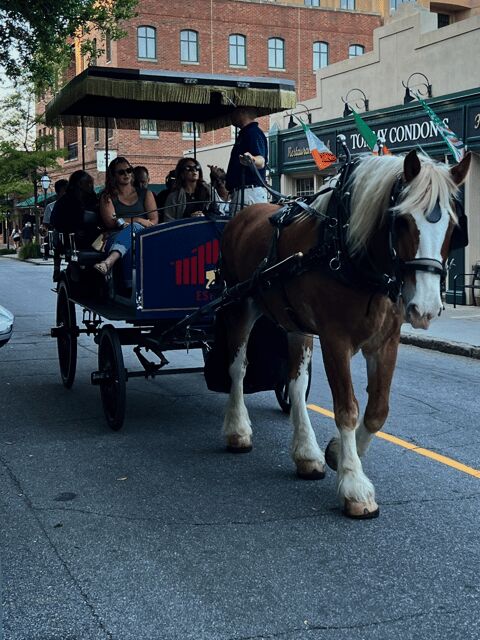 Charleston, SC: Private Evening Horse & Carriage Tour - The Value of This Tour