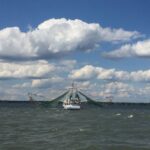 Charleston: Sunset Harbor Cruise - Authentic Experiences and Traveler Insights
