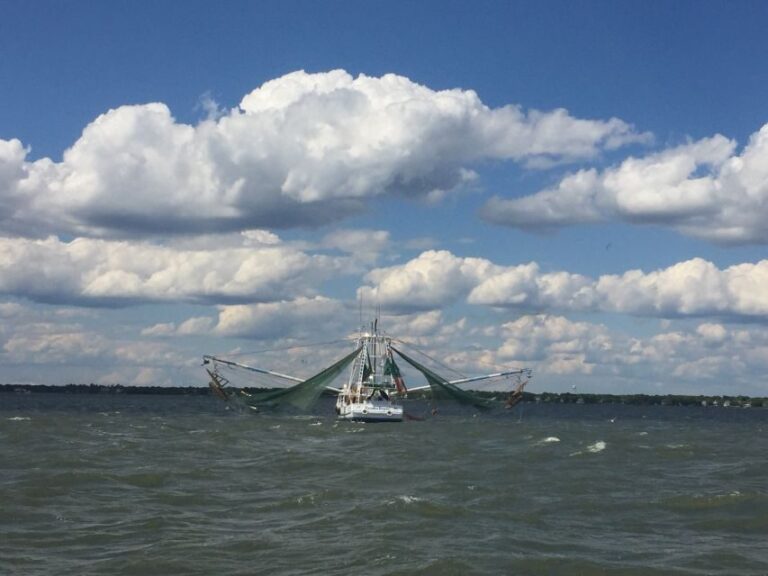 Charleston: Sunset Harbor Cruise - Authentic Experiences and Traveler Insights