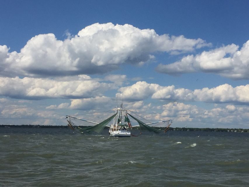 Charleston: Sunset Harbor Cruise - Authentic Experiences and Traveler Insights