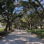 Charleston: Walking History and Bar Tour - Who Will Enjoy This Tour?