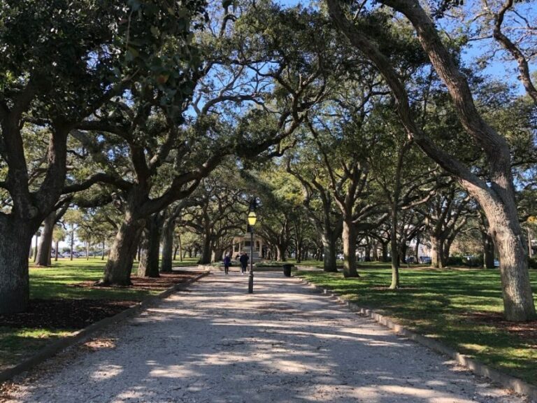 Charleston: Walking History and Bar Tour - Who Will Enjoy This Tour?
