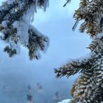 Chena Hot Spring Day Tour - What Makes This Tour Stand Out