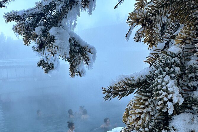 Chena Hot Spring Day Tour - What Makes This Tour Stand Out