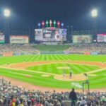 Chicago: Chicago White Sox Baseball Game Ticket - The Game Experience