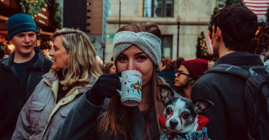 Chicago: Guided Holiday Walking Tour and Food Sampling - Who Will Love This Tour?