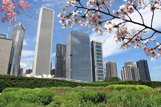 Chicago Millennium Park Self-Guided Walking Tour - Practical Aspects: What You Need to Know