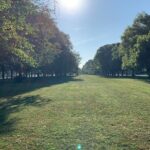 Chicago's Midway, Movies, and the 1893 World's Fair Walking Tour - Who Should Consider This Tour?
