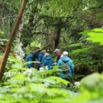 Chilkat Inlet Coastal Hike in Haines - The Coastal Hike Experience