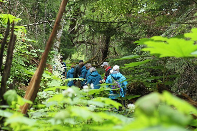 Chilkat Inlet Coastal Hike in Haines - The Coastal Hike Experience