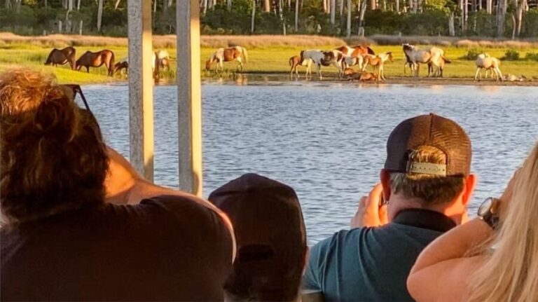 Chincoteague: Assateague Island Sunset Boat Cruise - Practical Details for Your Trip