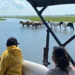 Chincoteague: Premier Pony & Wildlife Small Group Boat Tour - FAQs