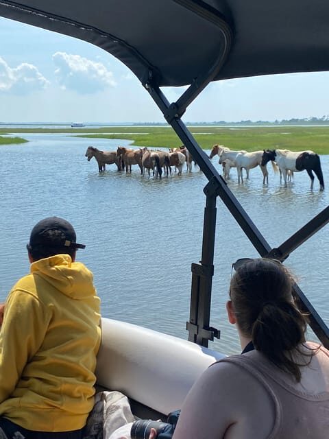 Chincoteague: Premier Pony & Wildlife Small Group Boat Tour - FAQs