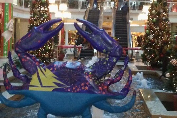 Christmas in Baltimore tour - Detailed Breakdown of the Experience