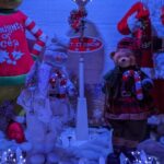 Christmas Light Night tour - Who Would Love This Tour?