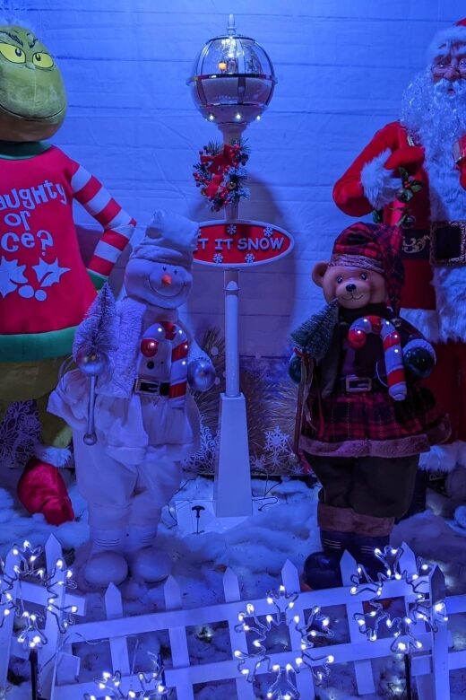 Christmas Light Night tour - Who Would Love This Tour?