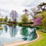Cincinnati Walking Tour with River Cruise - Is the Tour Worth It?