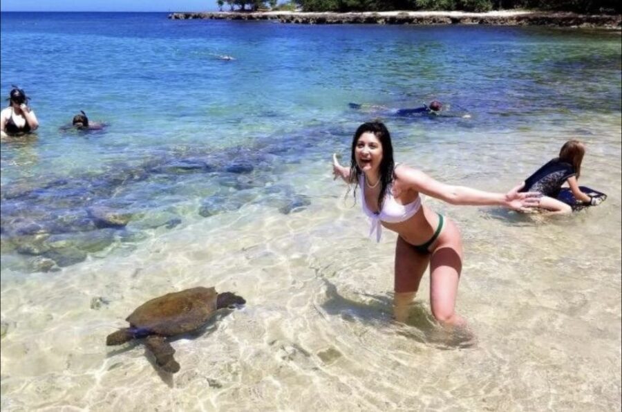 Circle Island: Swim with Turtles and Explore Paradise Oahu - Who Will Love This Tour?