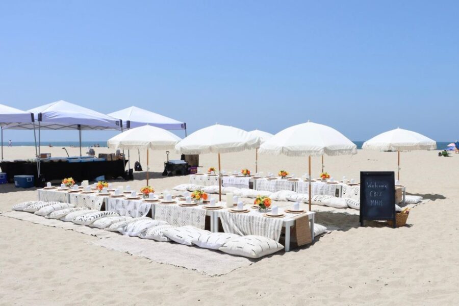 Classic Beach Picnic in Santa Monica - Who Is This Tour Best Suited For?