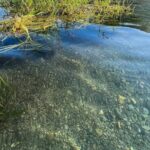 Clear Kayak Day Adventure Tour in San Marcos - Who is This Tour Best For?