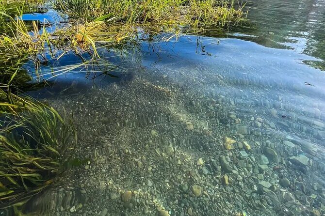 Clear Kayak Day Adventure Tour in San Marcos - Who is This Tour Best For?