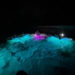 Clear Kayak Manatee Viewing Sunset and Glow Tour of Crystal River - Authentic Insights from Reviewers