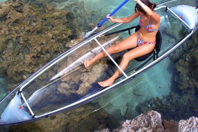 Clear Kayak Private Guided Day and Night Tours in Florida - The Real Experiences — Insights from Guests