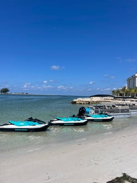 Clearwater: 1 Hour Jetski Dolphin Tour with Guide - Authentic Reviews & Insights