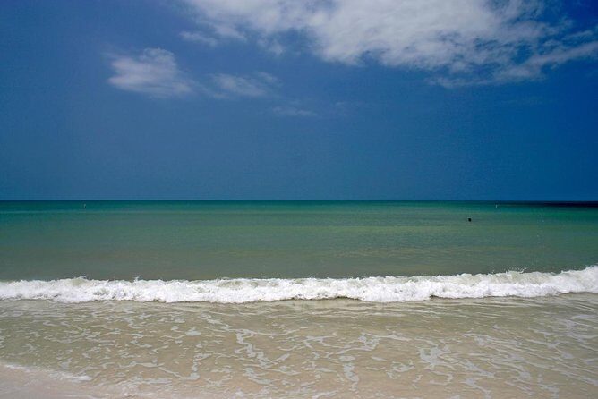 Clearwater Inshore Fishing Charter - Who Will Love This Tour?