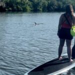 Cocoa Beach: Dolphin and Manatee Kayak or Paddle Tour - Who Should Book This Tour?