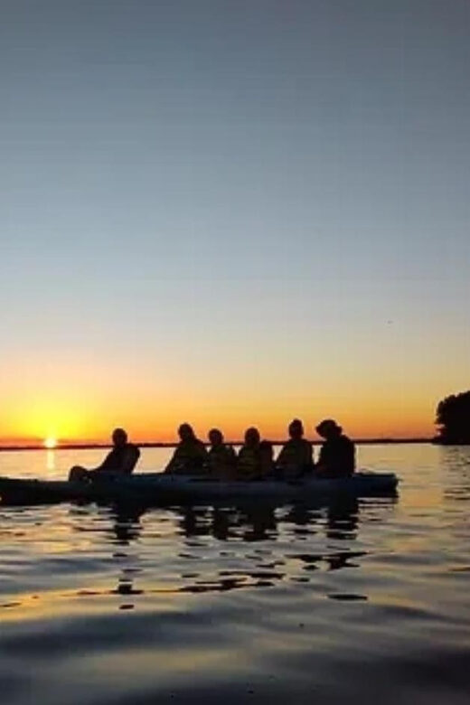 Cocoa Beach/Merritt Island: Guided Dolphin and Manatee Tour - Analyzing the Value