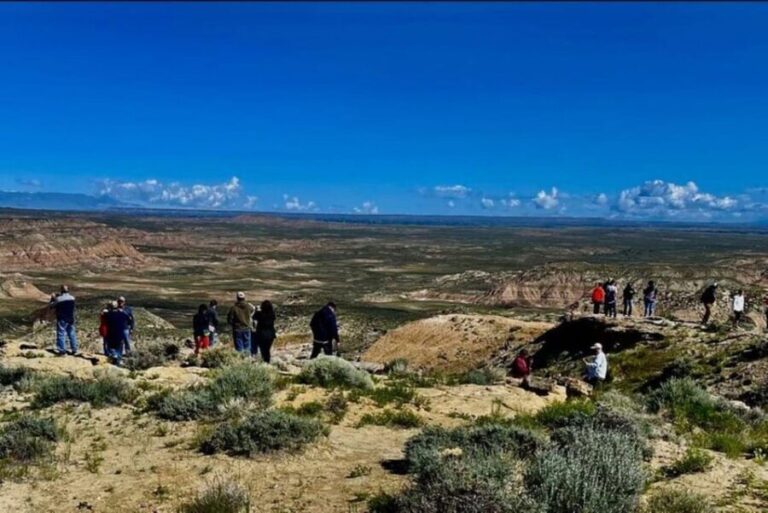 Cody: Wild Mustang Small Group Eco Tour - Analyzing the Value: Is It Worth the Price?