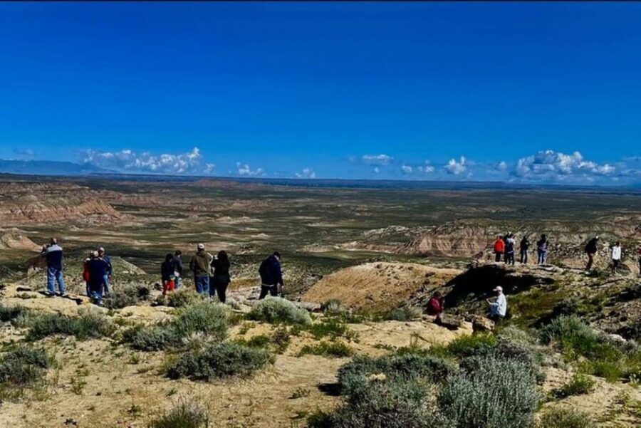 Cody: Wild Mustang Small Group Eco Tour - Analyzing the Value: Is It Worth the Price?