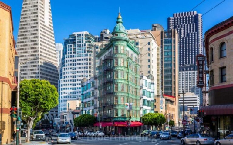 Coit Tower & Little Italy Landmark Walking Tour - Who Will Love This Tour?