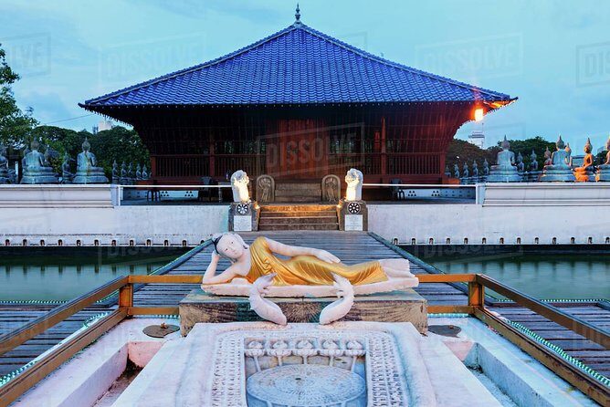 Colombo City Tour - What Reviewers Have Said (From Available Feedback)
