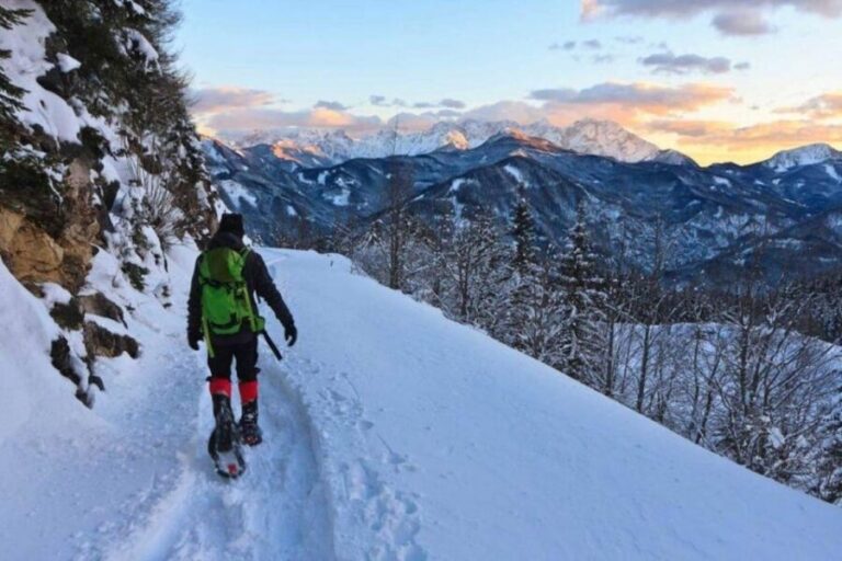 Colorado Backcountry: Guided Snowshoe Tour - What to Expect on the Tour