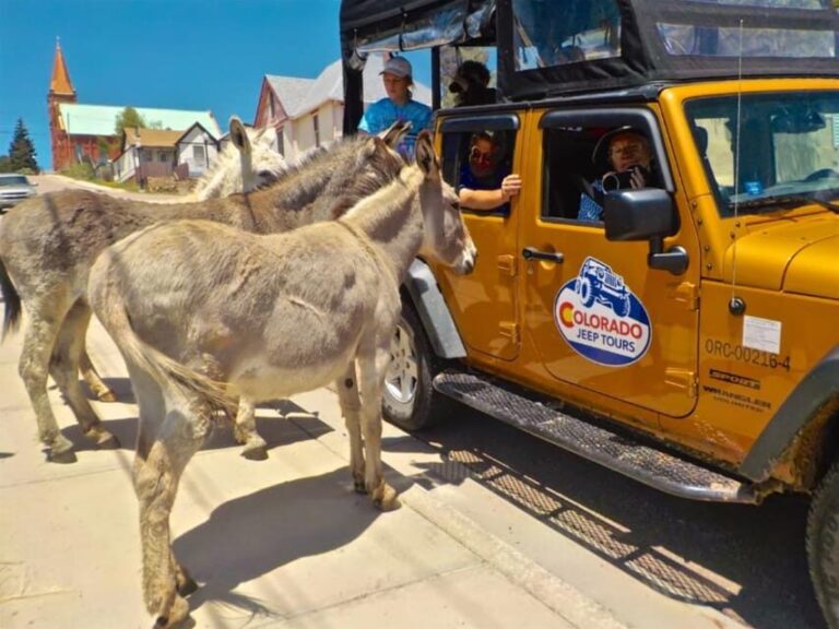 Colorado Jeep Tours - Gold Belt Tour - The Practical Side: What to Expect