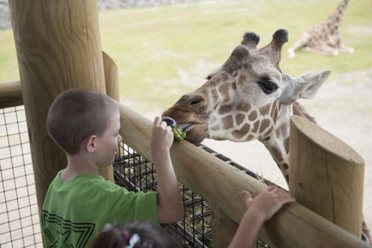 Columbus: Multiple Attractions Pass - What Reviewers Say