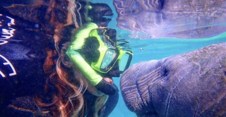 Crystal River: Manatee Swim Group Tour - Why This Tour Stands Out