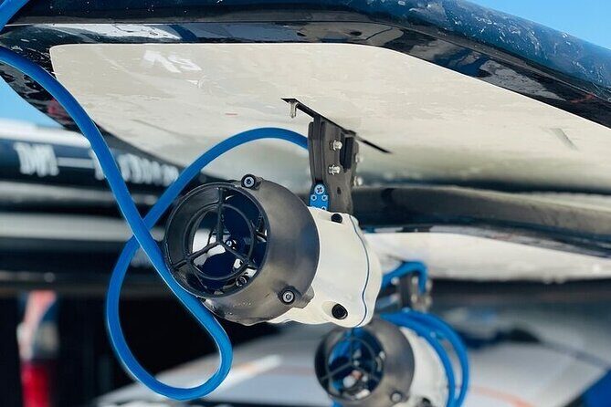 Crystal River Reserve State Park Electric Paddleboard Rentals - Final Thoughts: Is It Worth It?